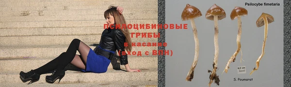 мескалин Горнозаводск