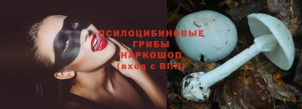 мескалин Горнозаводск