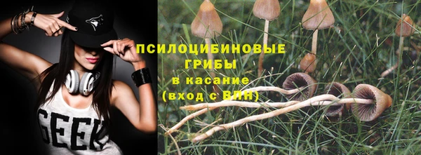 экстази Горняк
